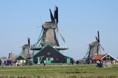 DSCN0303