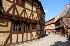 DSCN0978