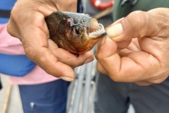 IMG_E7429