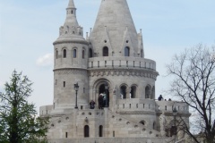 DSCN4661