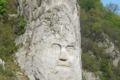 DSCN5563