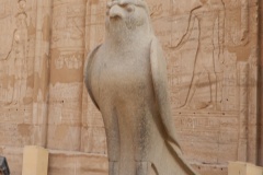 DSCN0304
