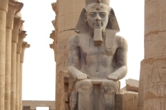 DSCN0347