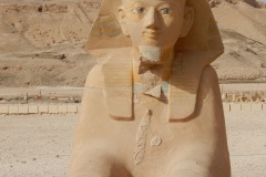 DSCN0481