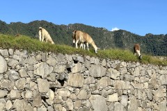 IMG_E7998