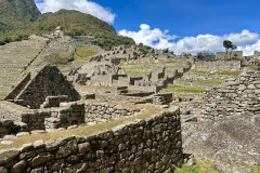 IMG_E8100