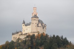 DSCN3946