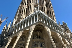 IMG_E9201